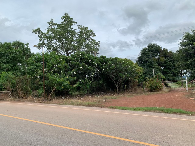 ขายที่ดิน 87-2-63 ไร่ ที่สวยบรรยากาศดี วิวภูเขา  ต.บ้านยาง อ.วัดโบสถ์ จ.พิษณุโลก   ZK209 