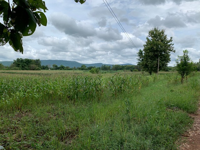 ขายที่ดิน 87-2-63 ไร่ ที่สวยบรรยากาศดี วิวภูเขา  ต.บ้านยาง อ.วัดโบสถ์ จ.พิษณุโลก   ZK209 