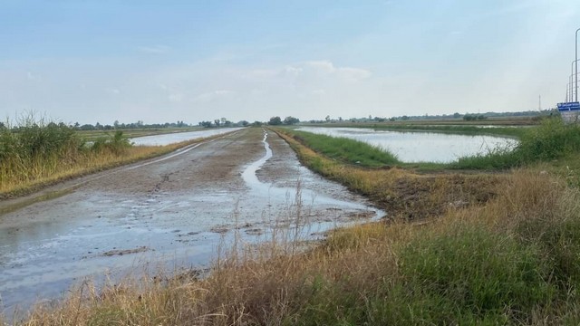 ที่ดินผืนใหญ่ทำเลดีมาก อยู่ที่ ต.ดอนเกาะกา อ.บางน้ำเปรี้ยว จ.ฉะเชิงเทรา  