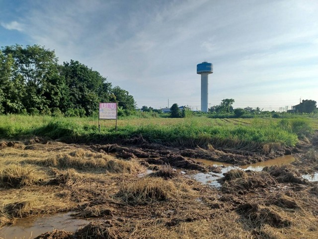 ขายด่วนที่ดินเปล่า 3-0-73  ไร่ ล้อมรอบด้วยหอพัก  รีสอร์ท ต.ท่าโพธิ์ อ.เมือง จ.พิษณุโลก  ZK202