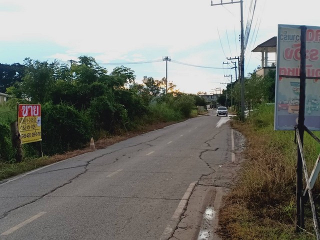 ขายด่วนที่ดินทำเลดี 6-0-88  ไร่ ล้อมรอบด้วยบ้านจัดสรร  ต.ในเมือง อ.เมือง จ.พิษณุโลก  ZK206