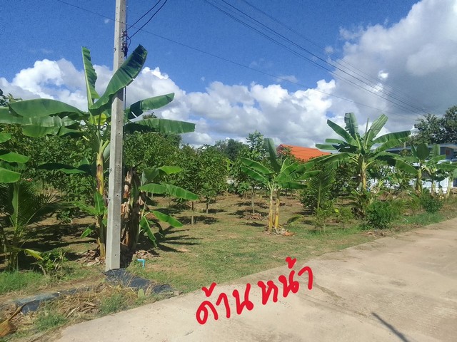 ขายที่ดิน 6 แปลง เเปลงละ 80 ตร.วา ถมดินแล้ว มีถนนคอนกรีตรอบ อยู่กลางชุมชน 