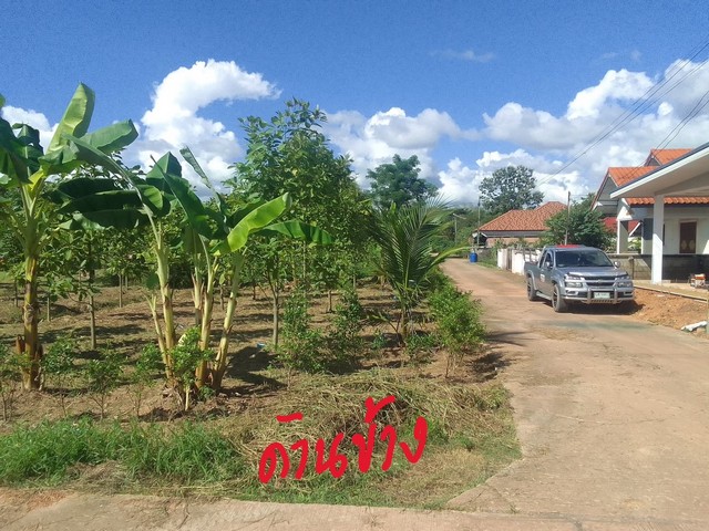 ขายที่ดิน 6 แปลง เเปลงละ 80 ตร.วา ถมดินแล้ว มีถนนคอนกรีตรอบ อยู่กลางชุมชน 