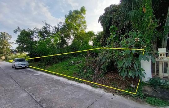 ขายที่ดินอยู่ใจกลางชุมชนสันกำแพงปาร์ควิว 283ตรว.