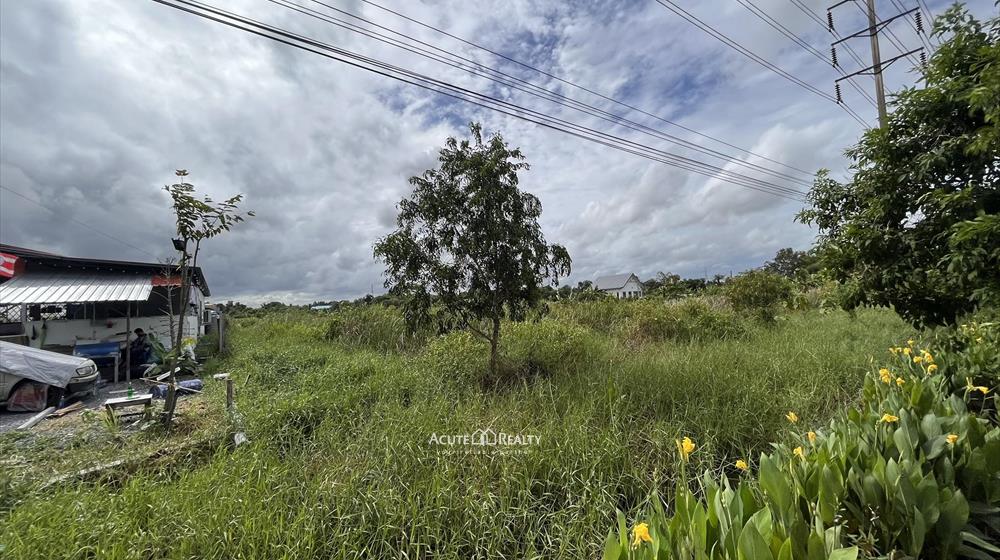 ขายถูก!! ที่ดิน 38 ไร่มีทางเข้าถนนประชาสำราญ หนองจอก ราคานี้หาไม่ได้แล้ว