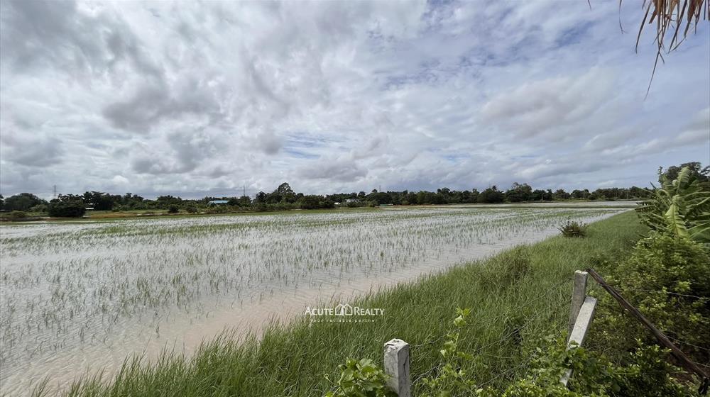 ขายถูก!! ที่ดิน 38 ไร่มีทางเข้าถนนประชาสำราญ หนองจอก ราคานี้หาไม่ได้แล้ว