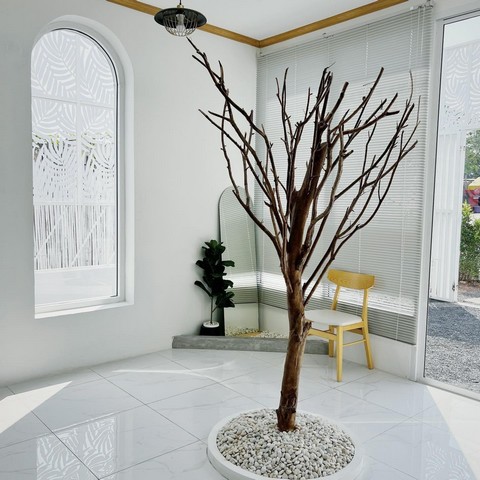 ให้เช่า คาเฟ่หรู ตกแต่งพร้อม เฟอร์นิเจอร์  ถ.ศรีเกษม ถ.ตัดใหม่ สี่แยกเคพาร์ค จ.สุราษฎร์ธานี   ZST169