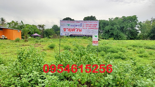 ขายที่ดินเปล่า 1-0-39.0 ไร่ หน้ากว้าง 26 เมตร ลึก 68 เมตร ทำเลดี ถมแล้ว ติดทางสาธารณะประโยชน์ อยู่ในแหล่งชุมชน
