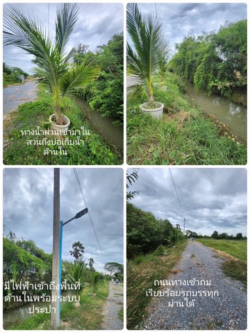 ขายที่ดินพร้อมบ้านไม้สองชั้น ต. กระตีบ  อ.กำแพงแสน จ.นครปฐม