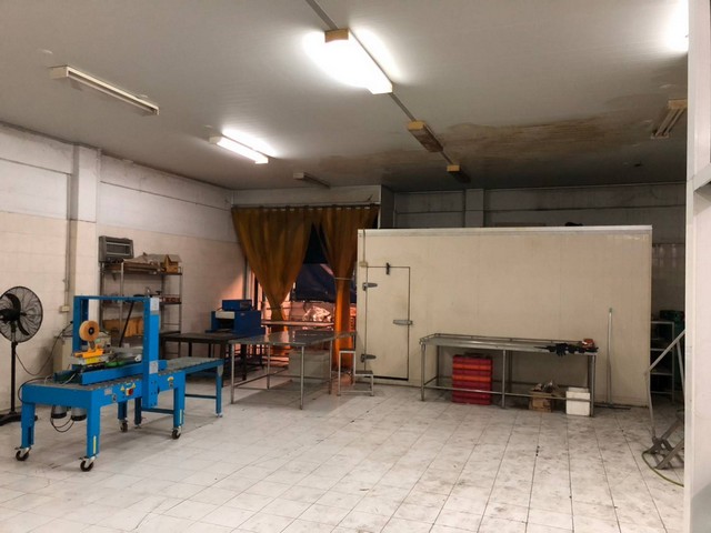 ขายโรงงาน มินิแฟคตอรี่ โครงการ หมื่นทรัพย์แลนด์ เนื้อที่ 80 ตร.วา  อ.เมือง จ.สมุทรสาคร   ZW265