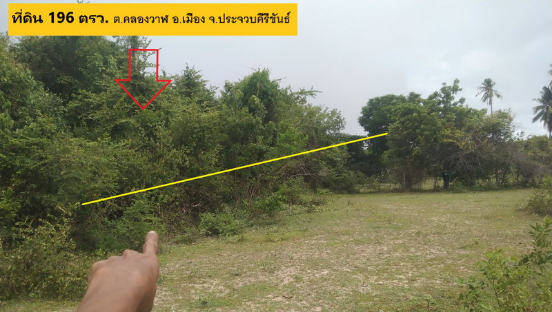ขายที่ดินเปล่า 1 งาน 96 ตรว.โฉนด 2 แปลง ทำเลดี ตำแหน่งสวย ติดทางสาธารณะประโยชน์ ห่างถนนหลักเพชรเกษม 450 เมตร หน้ากว้าง 44 เมตร ลึก 20 เมตร