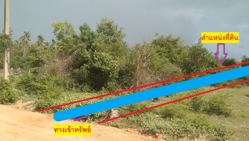 ขายที่ดินเปล่า 1 งาน 96 ตรว.โฉนด 2 แปลง ทำเลดี ตำแหน่งสวย ติดทางสาธารณะประโยชน์ ห่างถนนหลักเพชรเกษม 450 เมตร หน้ากว้าง 44 เมตร ลึก 20 เมตร