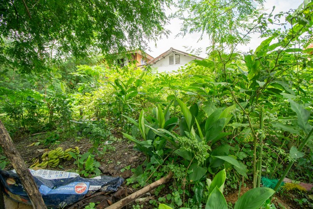 ขาย ที่ดินถูกมาก ถมแล้ว ซ.เวิร์คพอยท์ บางพูด อ.เมือง จ.ปทุมธานี 