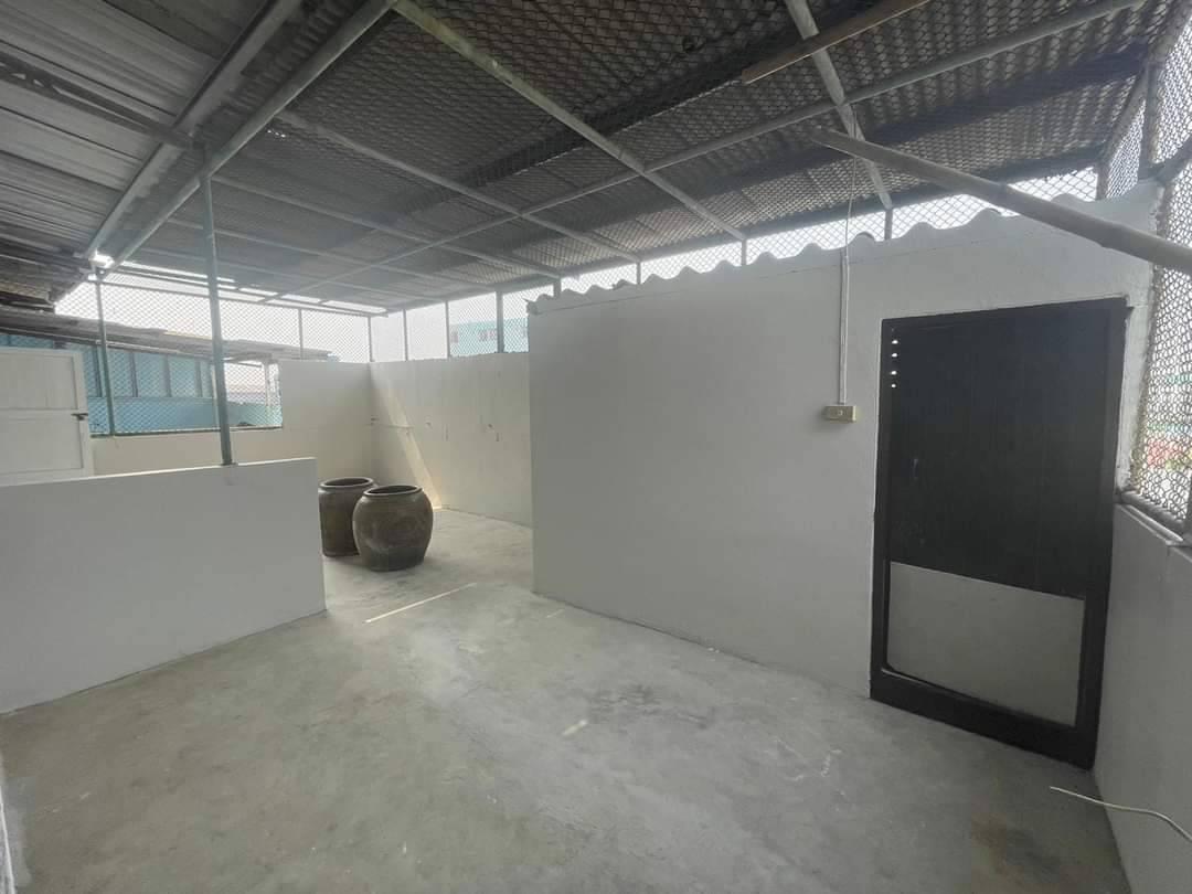 ให้เช่าอาคารพาณิชย์ 3 คูหา เนื้อที่ 36 ตารางวา  3 ห้องนอน  4 ห้องน้ำ ติดถนนเทพารักษ์ ใกล้บิ๊กซีบางพลี