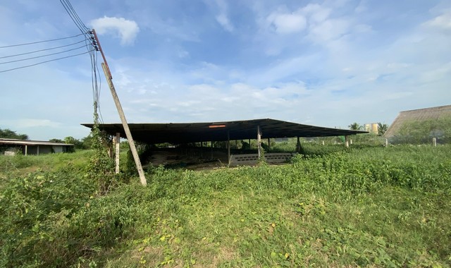 ขายบ้านเดี่ยว    อำเภอท่าวุ้ง  ลพบุรี (PKK02-12769)