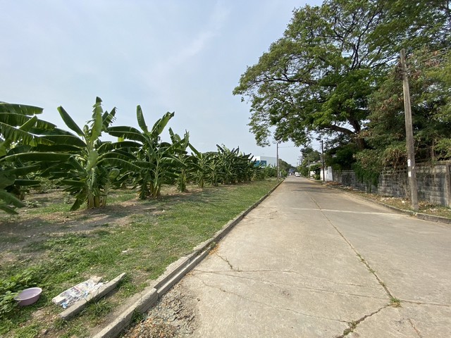 ขายที่ดินแปลงงาม :  หมู่บ้านเมืองทอง 2/2 กรุงเทพมหานคร