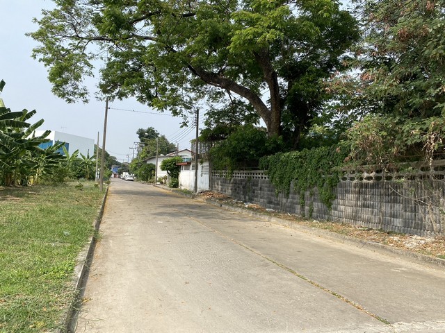 ขายที่ดินแปลงงาม :  หมู่บ้านเมืองทอง 2/2 กรุงเทพมหานคร