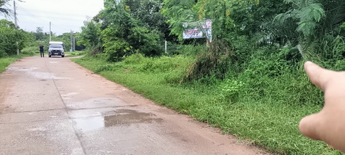 ขายที่ดิน 2 ไร่ หน้ากว้าง 30 เมตร ลึก 111 เมตร ภายในที่ดินปลูกต้นยางนา และ ต้นพะยูงไว้ และขุดบ่อเลี้ยงปลาไว้ 1 บ่อ ทำเลดี อยู่ใกล้ชุมชน