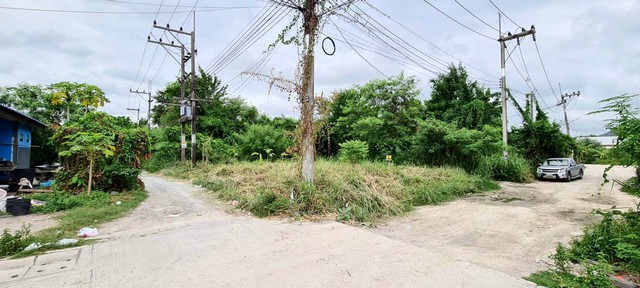 พื้นที่ดิน - ขนาดพื้นที่ 50 sq.wa  ใกล้ ทำเลดี แปลงสวย เหมาะสร้างที่พักอาศัย แปลงมุม ทำให้สามารถเลือกทำประตูเข้า-ออก ที่พักอาศัยได้สะดวก ตามสไตล์ที่ต้องการได้ง่าย อยู่ใกล้ชุมชน ใกล้โรงเรียน ใกล้ห้างสรรพสินค้า ใกล้ถนนใหญ่ ใกล้โซนเศรษฐกิจ (ที่ดินน่าลงทุน) ด
