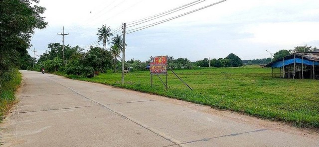 พื้นที่ดิน - area 51 ตร.วา 0 งาน 11 RAI  13200000 BAHT. เดินทาง สะดวก ชลบุรี   