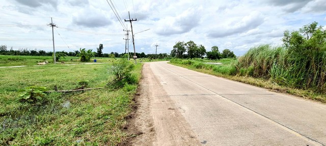 พื้นที่ดิน - area 51 ตร.วา 0 งาน 11 RAI  13200000 BAHT. เดินทาง สะดวก ชลบุรี   