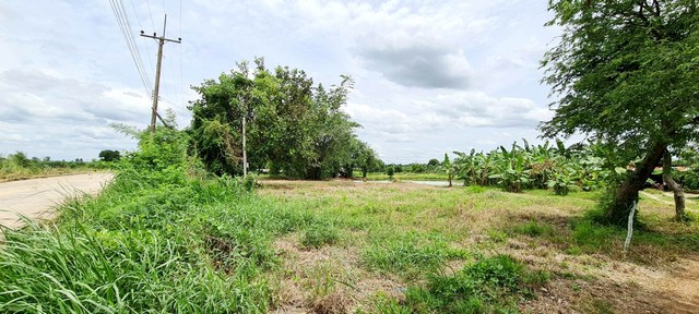 พื้นที่ดิน - area 51 ตร.วา 0 งาน 11 RAI  13200000 BAHT. เดินทาง สะดวก ชลบุรี   