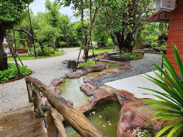 ขายที่ดินพร้อมสิ่งปลูกสร้าง ขนาด 9 ไร่ 2งาน 72 ตร.วา ตัวบ้านทรงไทยไม้ประดู่ อ.เมือง จ.หนองคาย
