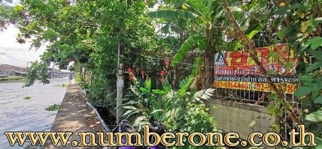 ที่ดิน - 683 ตรว.    ทำเลน่าอยู่