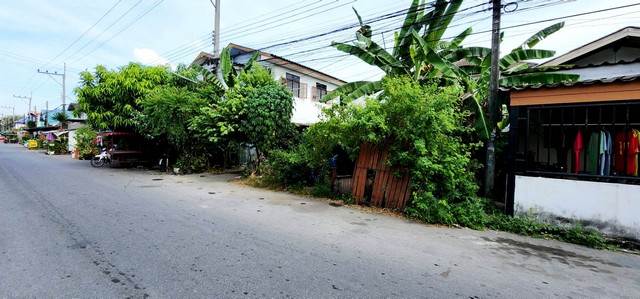 ที่ดิน การเคหะคลอง 7 ขนาด 21 ตรว. 0 งาน 0 ไร่  ใกล้ ใกล้วงแหวนรอบนอกตะวันออก(กาญจนาภิเษก) ใกล้ตลาดสี่มุมเมือง คุ้มยิ่งกว่าคุ้ม