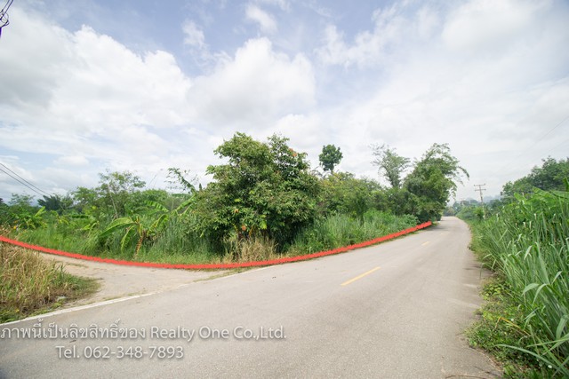 ขาย ที่ดินสวนผึ้ง ที่ดิน นส.3 ก. แปลงสวย ติดถนน หนองพันจันทร์ จ.ราชบุรี