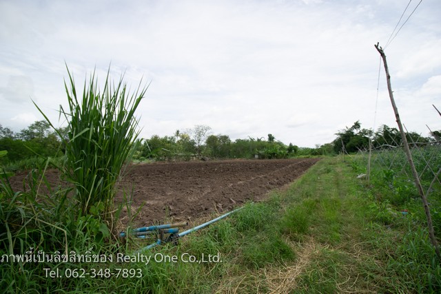 ขาย ที่ดินสวนผึ้ง ที่ดิน นส.3 ก. แปลงสวย ติดถนน หนองพันจันทร์ จ.ราชบุรี