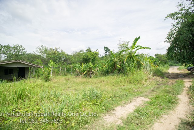 ขาย ที่ดินสวนผึ้ง ที่ดิน นส.3 ก. แปลงสวย ติดถนน หนองพันจันทร์ จ.ราชบุรี