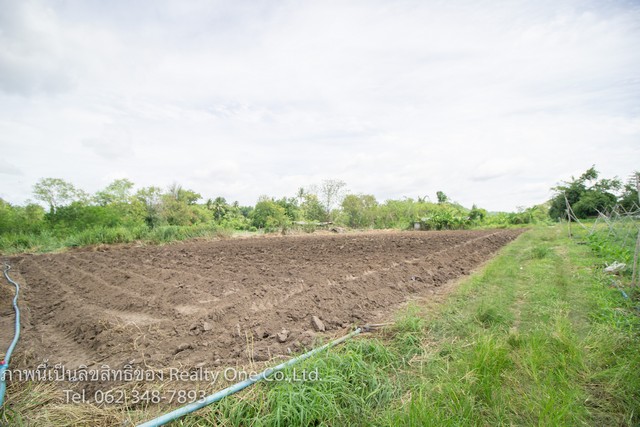 ขาย ที่ดินสวนผึ้ง ที่ดิน นส.3 ก. แปลงสวย ติดถนน หนองพันจันทร์ จ.ราชบุรี