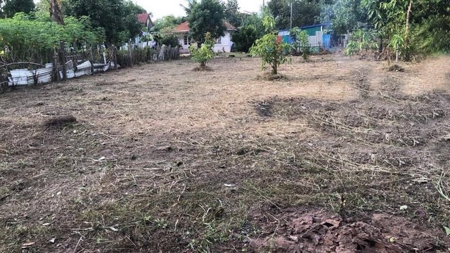 ขายที่ดินสวย  164 ตร.วา ใกล้ตลาดโคกสูง หลังอนามัย ต.โคกสูง  อ.เมือง นครราชสีมาZE509