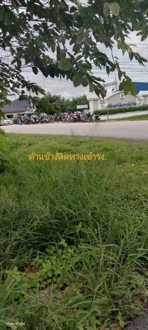 ขายที่ดิน 210 ตรว. ติดถนนราชบุรี-เพชรบุรี  ต.ดอนทราย อ.ปากท่อ จ.ราชบุรี   ZW268
