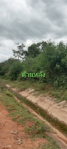 ขายที่ดิน 210 ตรว. ติดถนนราชบุรี-เพชรบุรี  ต.ดอนทราย อ.ปากท่อ จ.ราชบุรี   ZW268