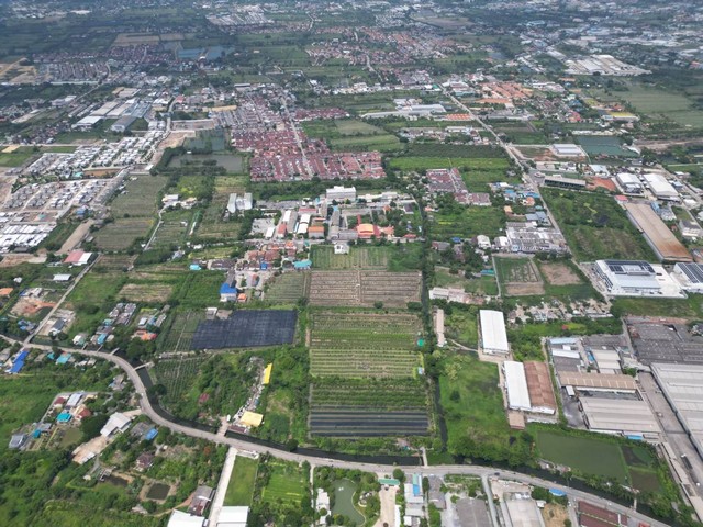 ขายที่ดินเปล่า   64-1-49.3ไร่  หนองแขม กรุงเทพ  ZW267