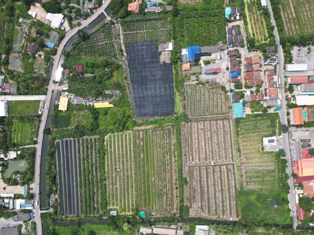 ขายที่ดินเปล่า   64-1-49.3ไร่  หนองแขม กรุงเทพ  ZW267