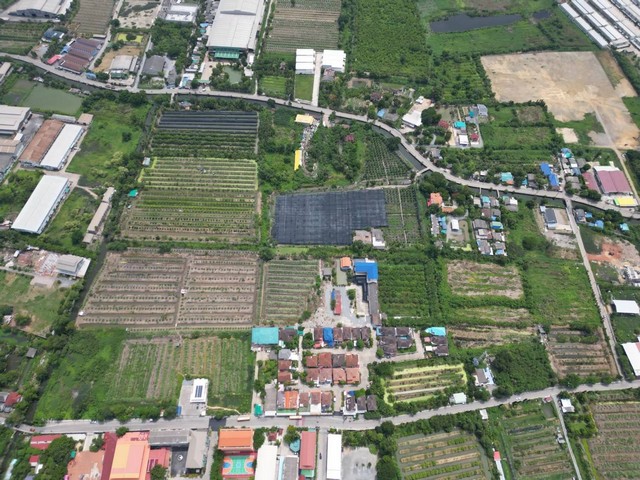 ขายที่ดินเปล่า   64-1-49.3ไร่  หนองแขม กรุงเทพ  ZW267
