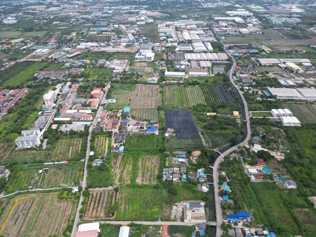 ขายที่ดินเปล่า   64-1-49.3ไร่  หนองแขม กรุงเทพ  ZW267