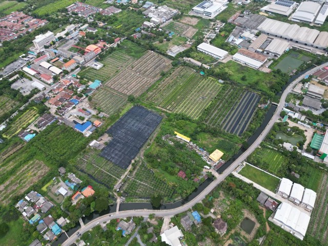 ขายที่ดินเปล่า   64-1-49.3ไร่  หนองแขม กรุงเทพ  ZW267