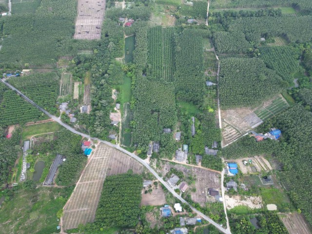 ขายที่ดินระยอง 10-2-78.2ไร่ ต.บางบุตร อ.บ้านค่าย จ.ระยอง   ZW266
