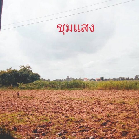 ขายที่ดินสวยติดแม่น้ำริมแม่น้ำน่านเมืองชุมแสง ทางสายหลักผ่านหลากหลายจังหวัดแห่งเมืองไทย  ชุมแสง  จ.นครสวรรค์ 300000 บาท.วิวแม่น้ำเกษตรดีงามสวยสมบูรณ์