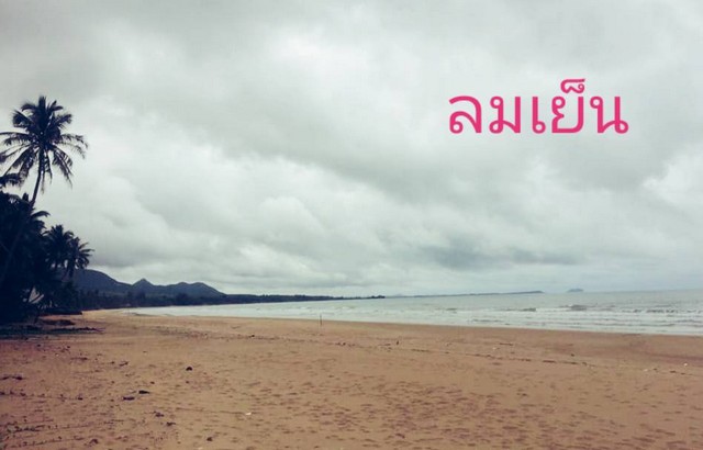 ท้าความสวยที่ติดทะเลหาดสะพลีมีเขื่อนทำบันไดลงเล่นน้ำ2 ล็อก พร้อมขาย. ทรายขาวน้ำใส  วิวทะเลธรรมชาติสุดสุด ปะทิวใกล้หาดสวยทุ่งวัวแล่น  