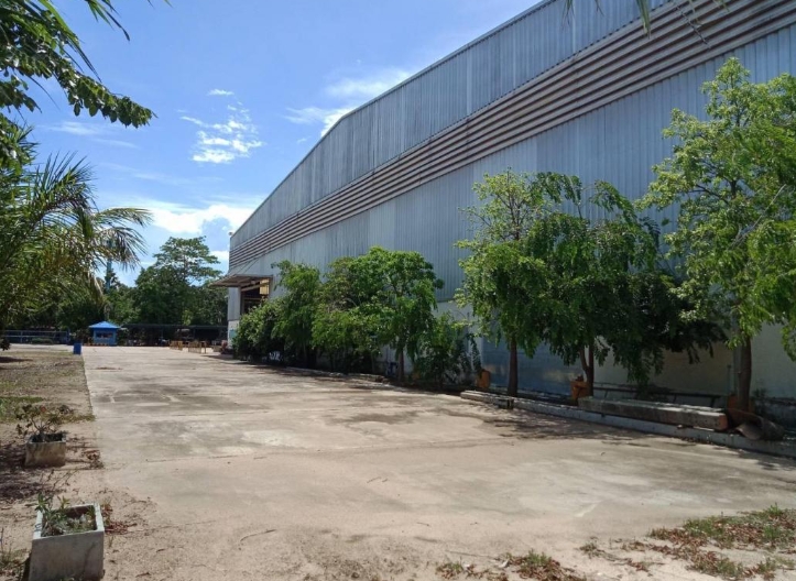 ให้เช่าแลขาย โรงงาน อ.สนามชัยเขต ฉะเชิงเทรา เนื้อที่ 48 ไร่ มี รง.4 