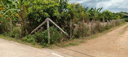 ที่ดิน 1 ไร่ หน้ากว้าง 37 เมตร ลึก 48 เมตร ถมแล้วล้อมรั้วลวดหนาม ด้านหน้าติดถนนคอนกรีต เหมาะสำหรับสร้างที่อยู่อาศัย ทำเลดีอยู่ในแหล่งชุมชน