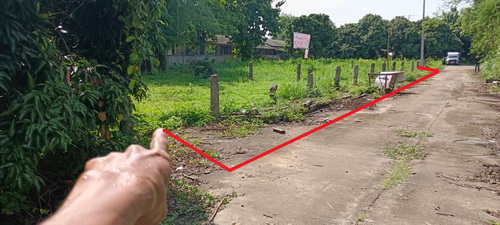 ขายที่ดินเปล่า 219 ตรว. (2 แปลงรวม) ทำเลดี ติดถนนคอนกรีต ห่างทางหลวงชนบทหมายเลข 5036 เพียง 240 เมตร หน้ากว้าง 40 เมตร ลึก 25 เมตร
