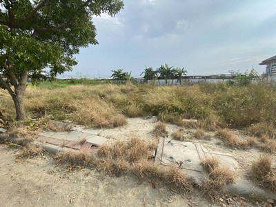 ที่ดินเปล่า ผังเมืองสีเหลือง แปลงสี่เหลี่ยม 107 ตร.วา ใกล้สนามกอล์ฟ Ballyshear golf links