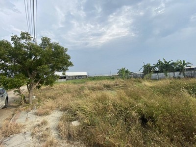 ที่ดินเปล่า ผังเมืองสีเหลือง แปลงสี่เหลี่ยม 107 ตร.วา ใกล้สนามกอล์ฟ Ballyshear golf links