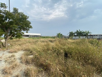 ที่ดินเปล่า ผังเมืองสีเหลือง แปลงสี่เหลี่ยม 107 ตร.วา ใกล้สนามกอล์ฟ Ballyshear golf links